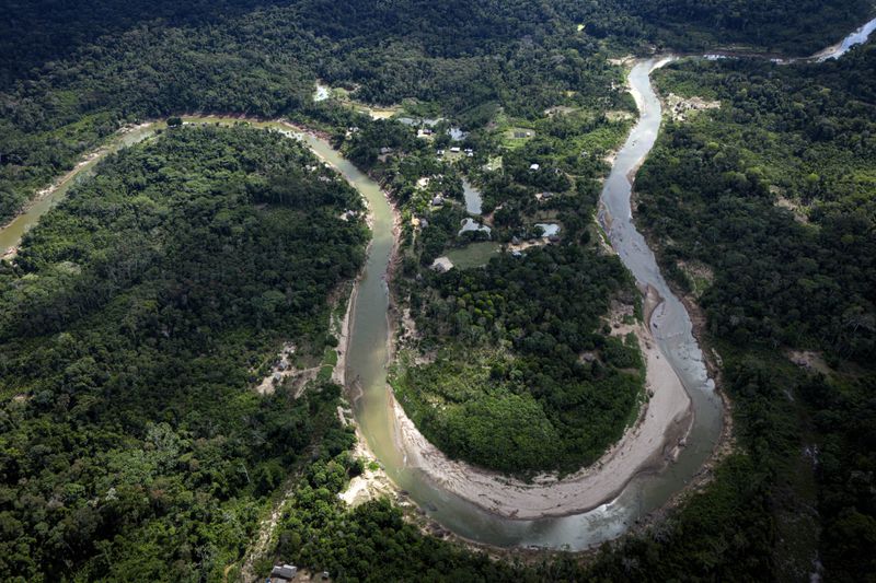 Ashaninka's territory sits along the winding Amonia River in Acre state, Brazil, Saturday, June 22, 2024. (AP Photo/Jorge Saenz)