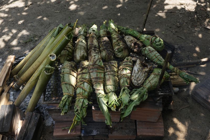 Ashaninka Indigenous' style fish, wrapped in banana leaves, are prepared for lunch during the annual celebration recognizing the Ashaninka territory in the Apiwtxa village, Acre state, Brazil, Sunday, June 23, 2024. (AP Photo/Jorge Saenz)