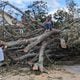 Qena Fabin, an Augusta resident, sits on top of an oak tree that toppled into her front yard because of Tropical Storm Helene while her 7-year-old daughter looks on. Fabin has to walk around the tree's massive roots or scramble over it to leave her yard.