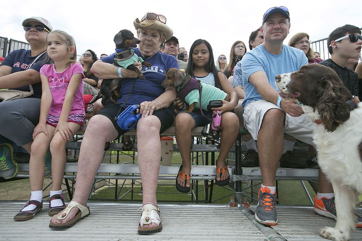 Buda Wiener Dog Race, 4.26.15