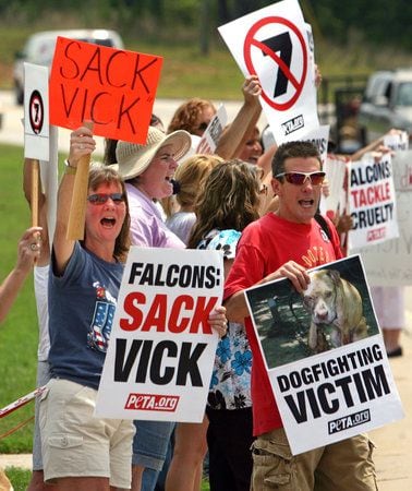 The Life of Michael Vick