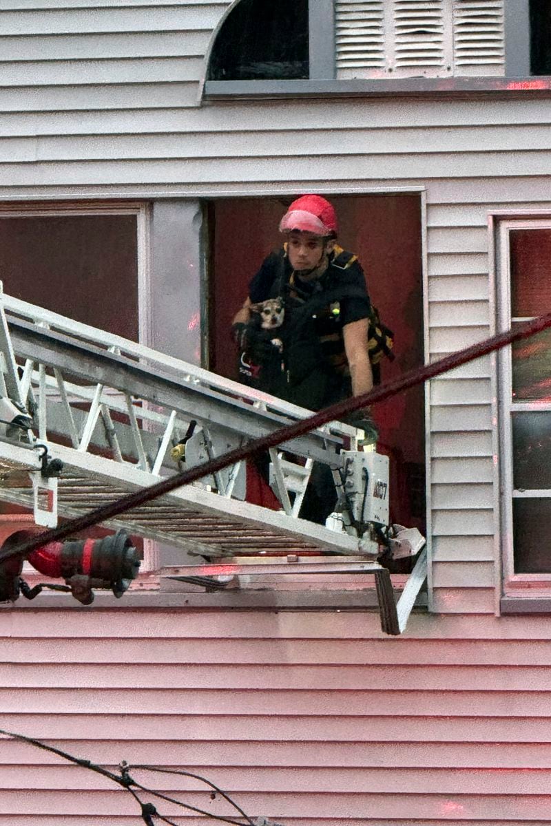 This photo provided by Beacon Hose Co. No. 1, a fire station in Beacon Falls, Connecticut, shows members of Beacon Hose rescuing a dog from the Brookside Inn in Oxford, Conn., Sunday, Aug. 18, 2024. (Beacon Hose Co via AP)8