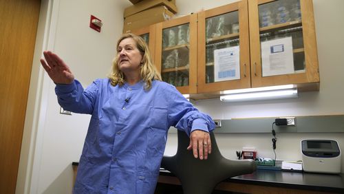 Amy Baker speaks in a lab at the National Animal Disease Center in Ames, Iowa, on Wednesday, Aug. 7, 2024. In addition to vaccines, she and other researchers also have been working on studies in which they try to see how the virus spreads between cows. (AP Photo/Charlie Neibergall)