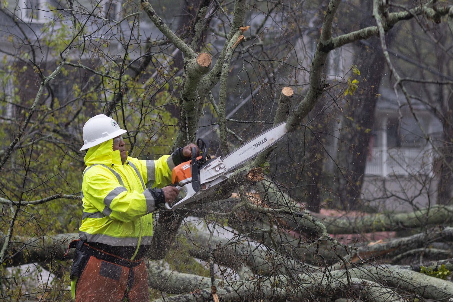 Strong storms bring down trees in Atlanta