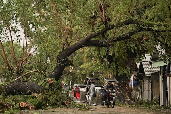 Motorists pass by toppled trees caused by strong winds from Typhoon Man-yi along a street in the municipality of Baler, Aurora province, northeastern Philippines Monday, Nov. 18, 2024. (AP Photo/Noel Celis)