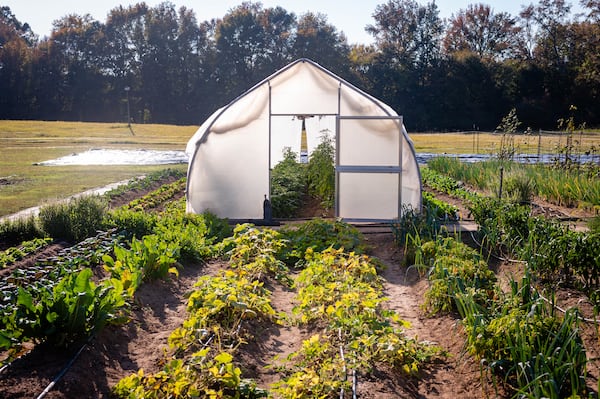 The garden at Quercus provides many of the ingredients used at the resort's restaurant, Uberto.  (Credit: Henri Hollis / henri.hollis@ajc.com)