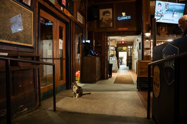 Manuel's owners have posted signs outside the bar urging patrons not to let Archer inside, but the clever cat always seems to find a way.