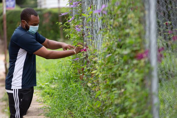 Terboris Barnes tends to flowers he planted along the fence line of his home on James P. Brawley Dr., August 14, 2020. Barnes's home does not qualify for lead remediation because officials found levels 4 points below the cutoff remediation levels  STEVE SCHAEFER FOR THE ATLANTA JOURNAL-CONSTITUTION