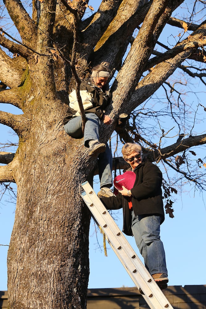 Woman climbs tree to stop Georgia Power