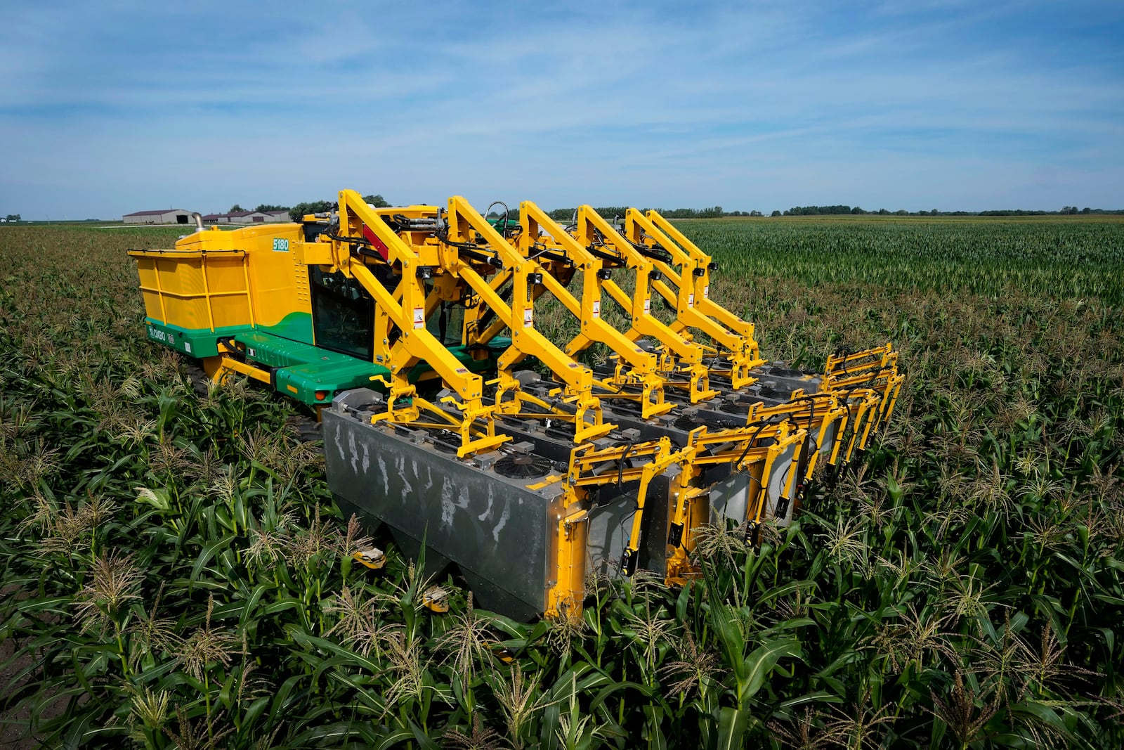 A PowerPollen pollen collector is driven through a cornfield, Thursday, Aug. 22, 2024, near Ames, Iowa. (AP Photo/Charlie Neibergall)