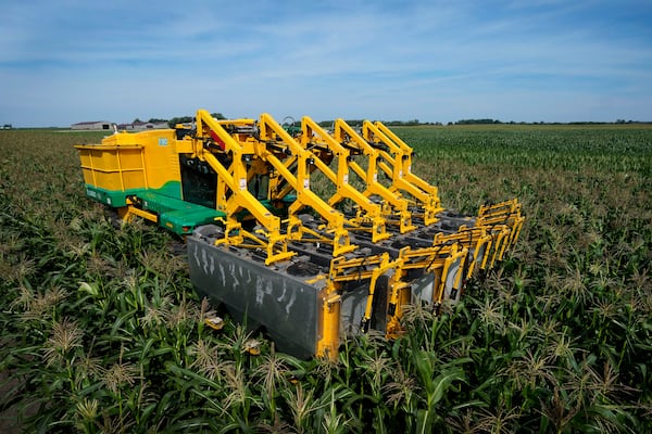 A PowerPollen pollen collector is driven through a cornfield, Thursday, Aug. 22, 2024, near Ames, Iowa. (AP Photo/Charlie Neibergall)