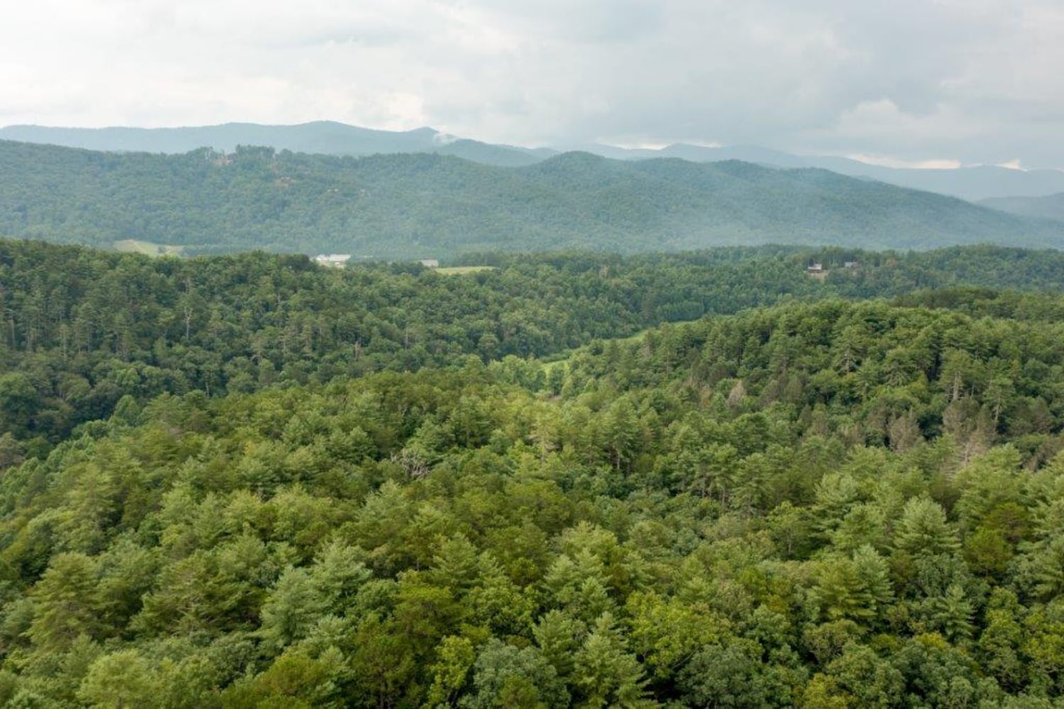 This $3.5m Blue Ridge vineyard dream home could be yours