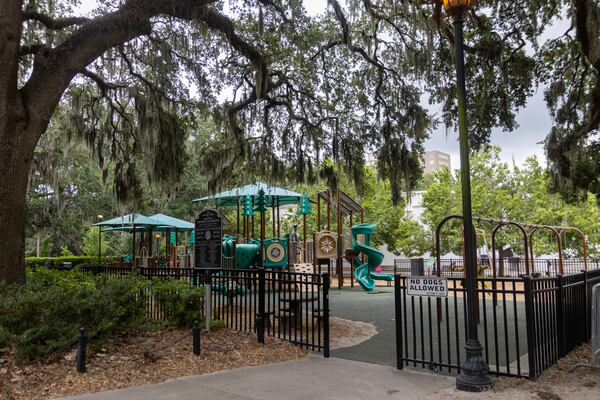 Among the issues critics cite with the Forsyth Park master plan is the proposed replacement of picnic places under the live oak trees with pathways and moving the park playground closer to the basketball courts. (Katelyn Myrick for the AJC)