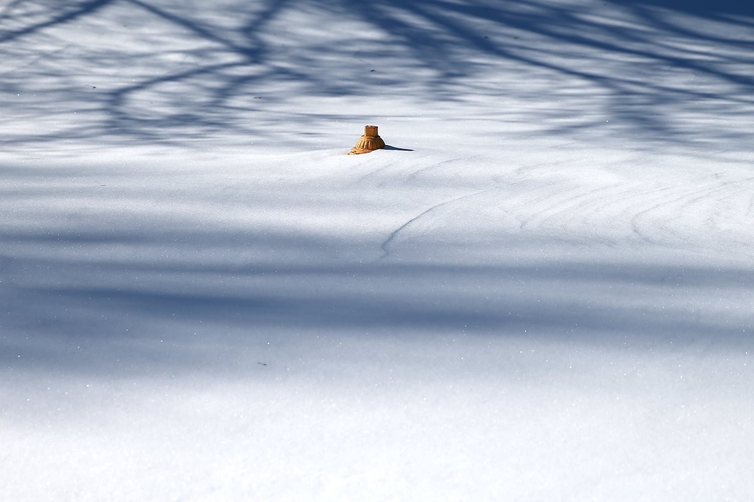 Big snow storm: Jan. 25, 2016