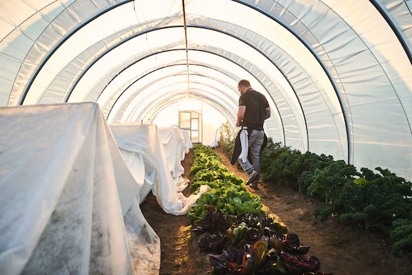 Chef Ryan Smith in a greenhouse in the Quercus garden. (Credit: Mammoth Studios, courtesy of Quercus)