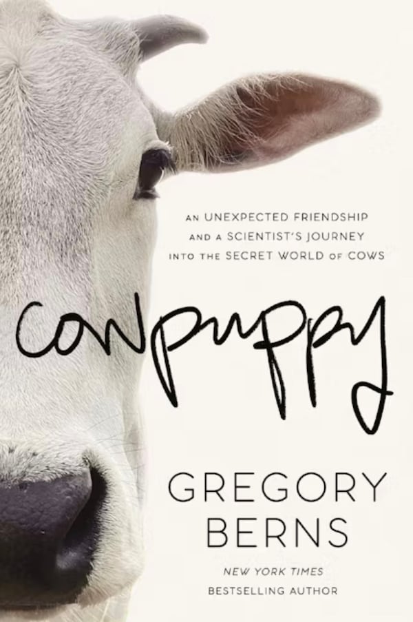 "Cowpuppy" by Gregory Berns. (Courtesy of Harper Horizon)