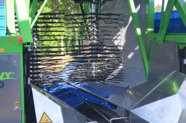 The Harvy500's "shakers" rattle blueberries off the bush and brushes collect them at the bottom. The berries are then collected in a bucket and released into containers on a rotating belt. (Photo Courtesy of Lucille Lannigan)