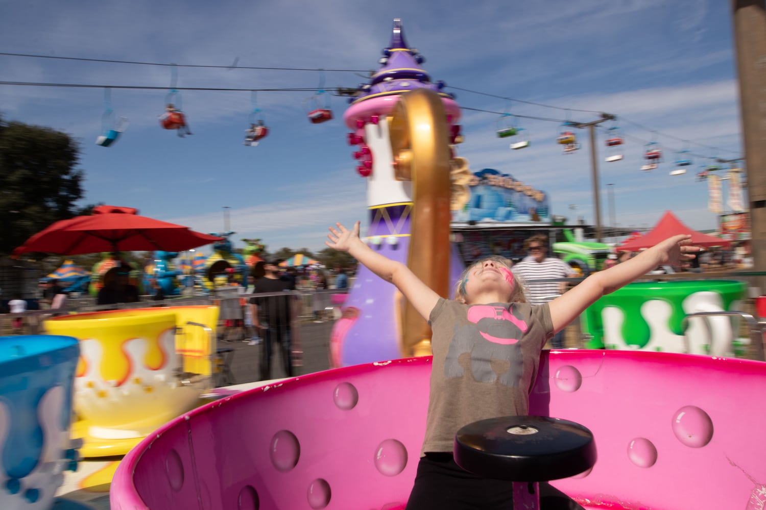 UGA Georgia Fair