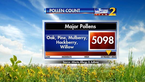 Atlanta's pollen count hit  5,098 particles per cubic meter of air Wednesday, which is up from last Wednesday’s count of 4,667, according to Atlanta Allergy and Asthma. (Credit: Channel 2 Action News)