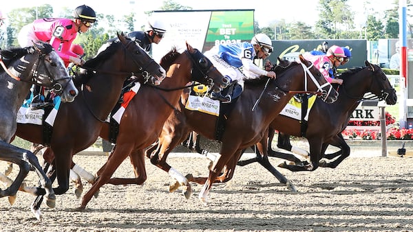 Sir Winston #7 with Joel Rosario up wins the 151st running of the Belmont Stakes at Belmont Park on June 08, 2019 in Elmont, New York. (Photo by Nicole Bello/Getty Images)