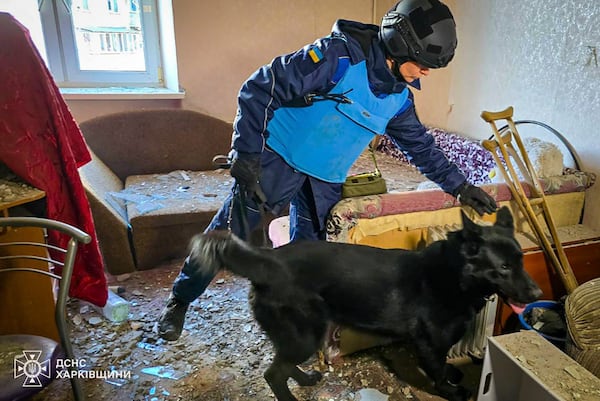 In this photo provided by the Ukrainian Emergency Service, a rescuer and his dog search for victims following a Russian rocket attack in Kharkiv, Ukraine, Friday, March 7, 2025. (Ukrainian Emergency Service via AP)