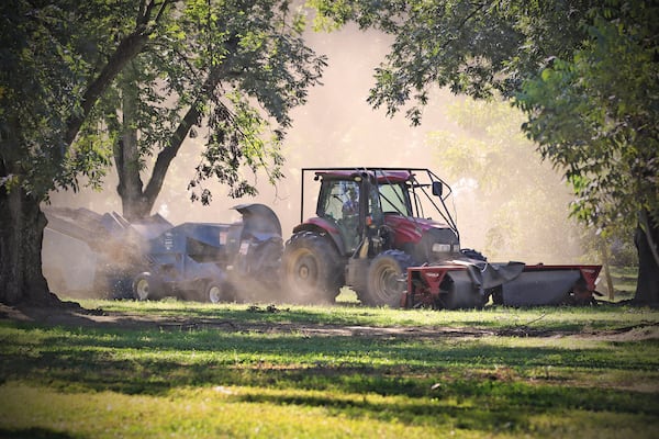 Dirt is blown from the harvester collecting pecans. (Eric Dusenbery for The Atlanta Journal-Constitution)