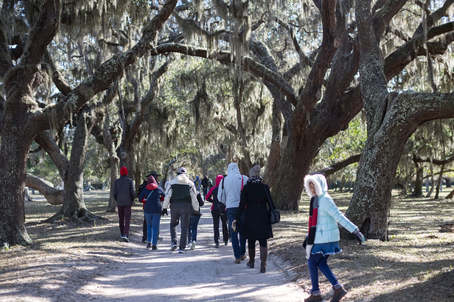 A NEW VISITOR PLAN THAT'S BEEN PROPOSED FOR THE CUMBERLAND ISLAND NATIONAL SEASHORE