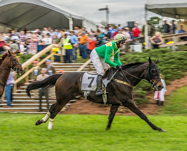 The Steeplechase brings horse racing and plenty of pageantries to Callaway Gardens on the first Saturday in November.