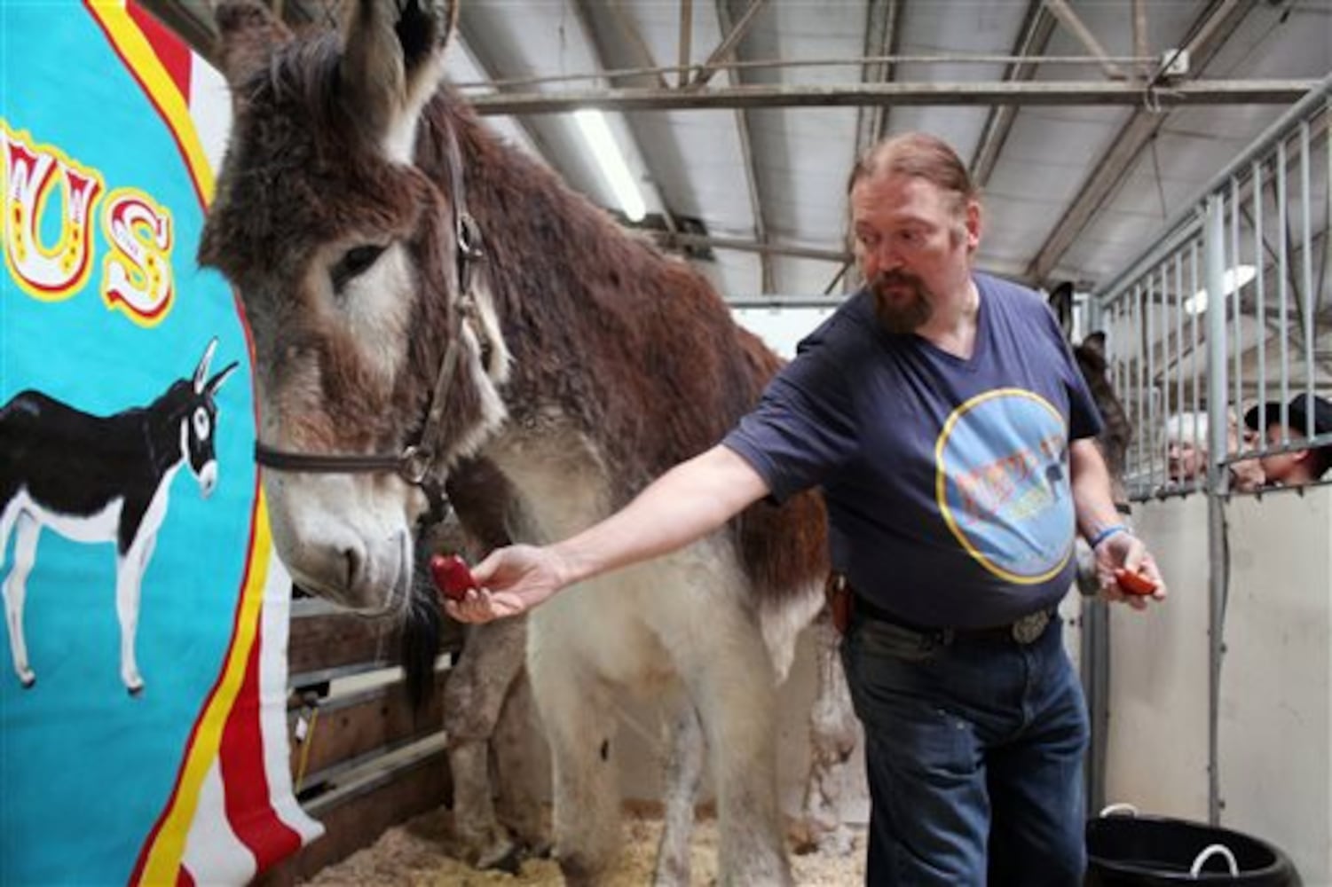 Midwest Horse Fair features tallest horse, tallest donkey