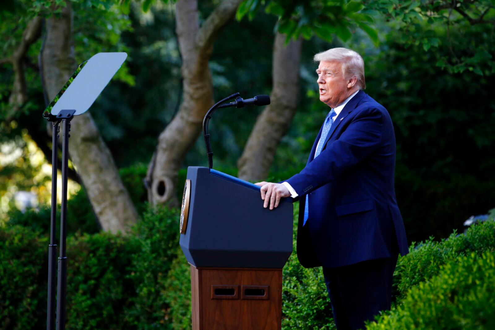 President Donald Trump speaks in the Rose Garden of the White House, Monday, June 1, 2020, in Washington. (AP Photo/Patrick Semansky)