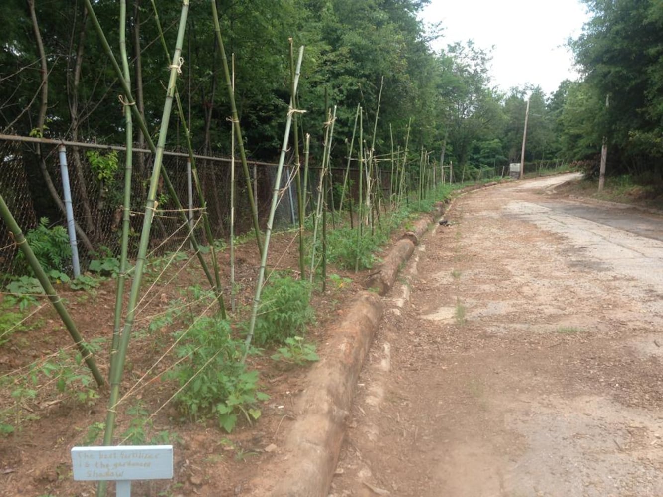 Urban Sprout 2 -- Urban farming in Atlanta