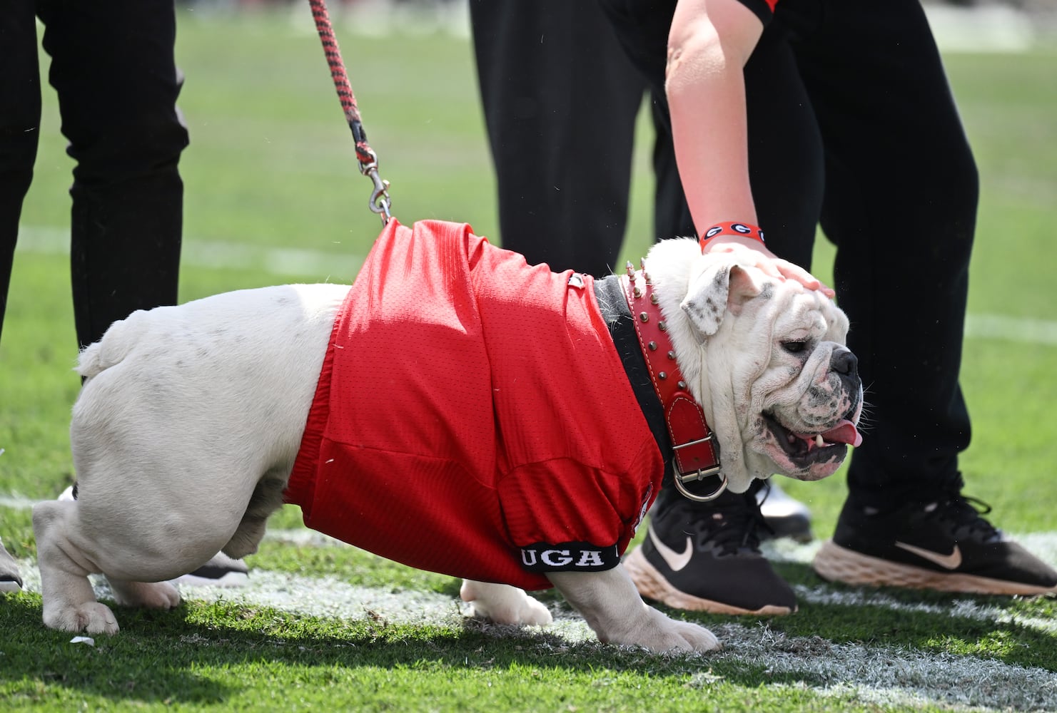 Georgia spring game