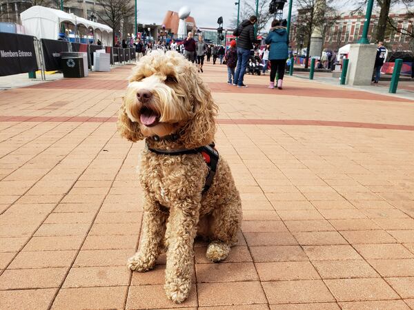 Charlie offered no Super Bowl predictions.