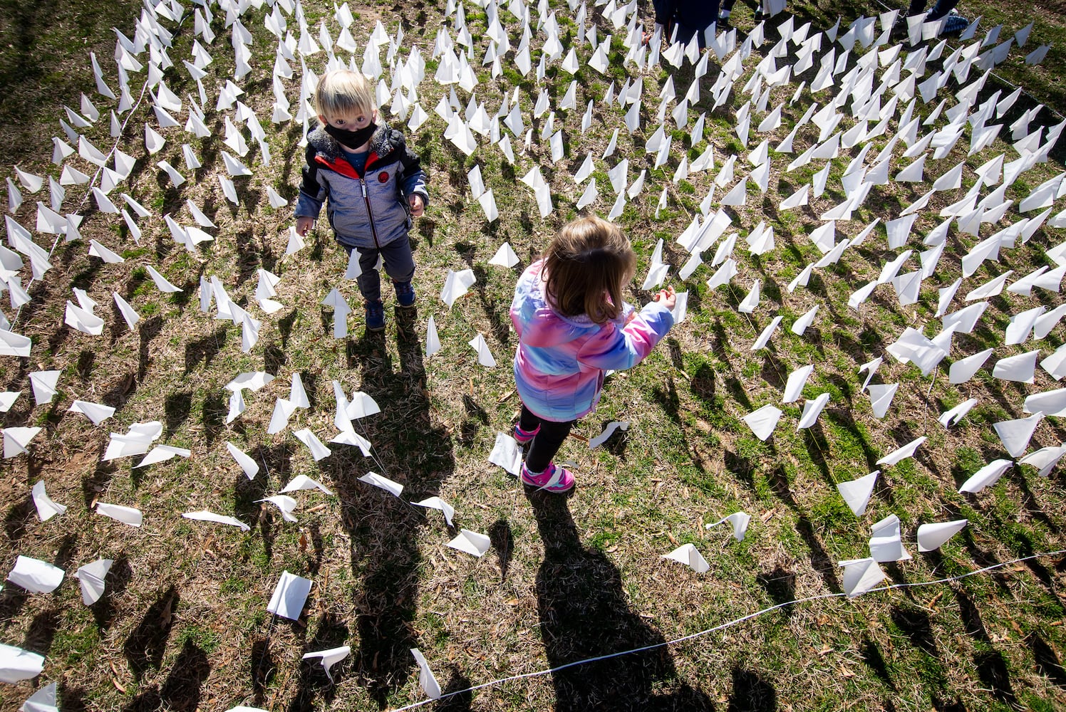 Decatur volunteers planting 15,000 (or 16,000)