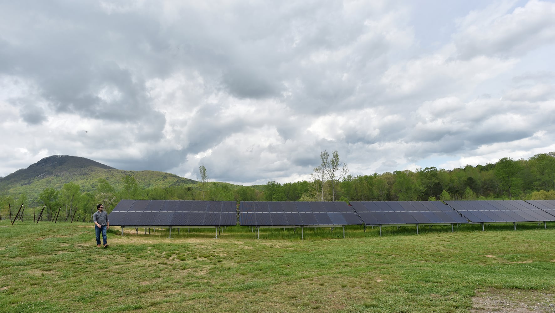 Photos: The solar-powered Yonah Mountain Vineyards