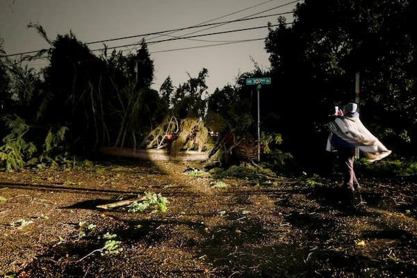 A person records damage of a tree and downed power lines during a major storm Tuesday, Nov. 19, 2024 in Seattle. (Jennifer Buchanan/The Seattle Times via AP)