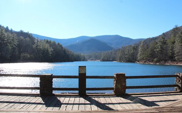 Vogel State Park