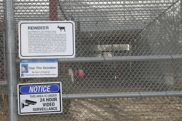 The chain-link fence surrounding the pen of Star the pet reindeer in downtown Anchorage, Alaska, is shown March 11, 2025. (AP Photo/Mark Thiessen)