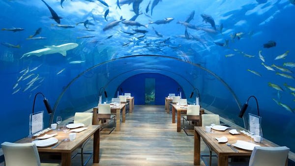 Ithaa, the underwater restaurant at the Conrad. Photo: Conrad Maldives Rangali Island