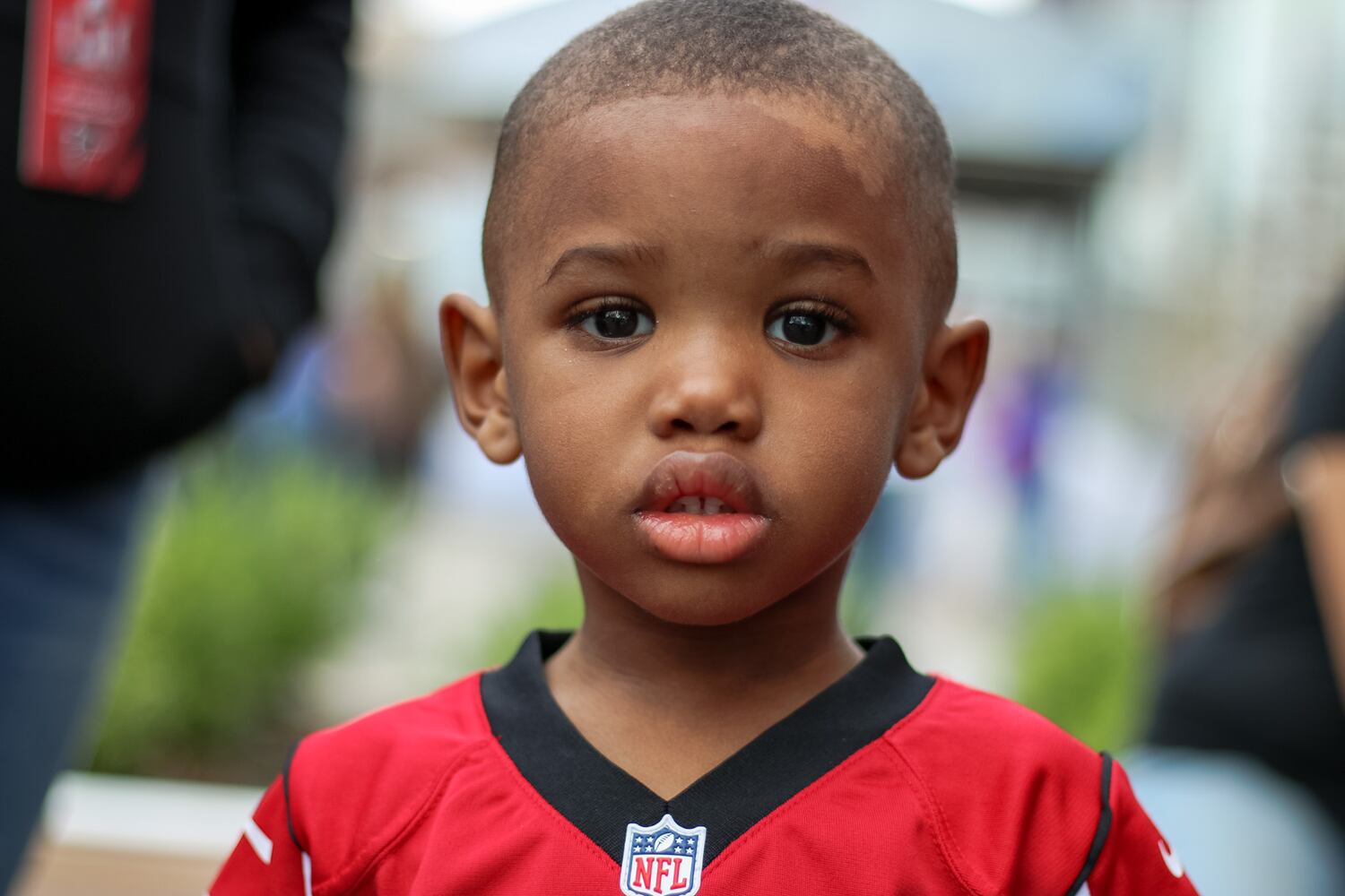 Falcons fans in Houston