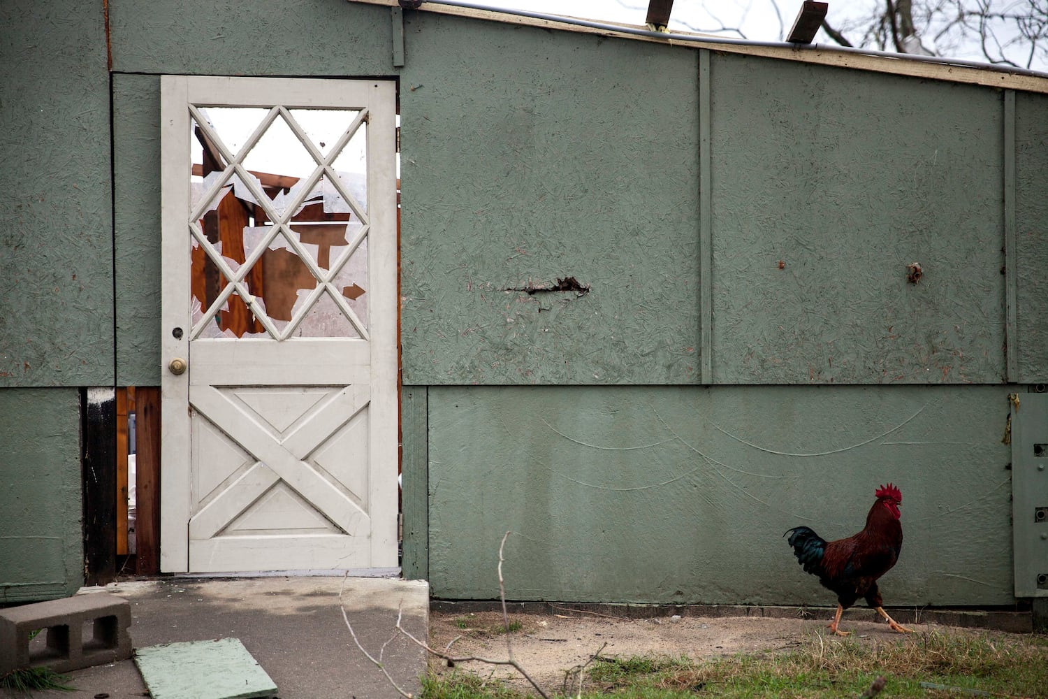 Strong storms in Georgia cause deaths, devastation