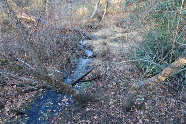 A stream in Allaire State Park in Wall, N.J., has shrunk to a trickle on Tuesday, Nov. 12, 2024, amid record-breaking dry conditions in New Jersey. (AP Photo/Wayne Parry)