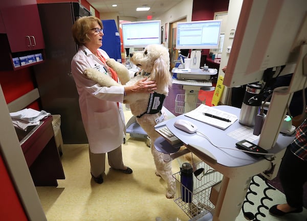 In this file photo, Dr. Jana Stockwell gets some encouragement from Tidings during their rounds in the pediatric intensive care unit at Children’s Healthcare of Atlanta at Egleston. (Curtis Compton / ccompton@ajc.com)