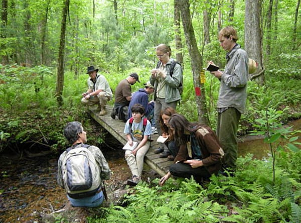 Get primitive at the Medicine Bow Primitive School of Earthlore in Dahlonega.