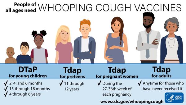 Visit www.cdc.gov/whoopingcough for more information.