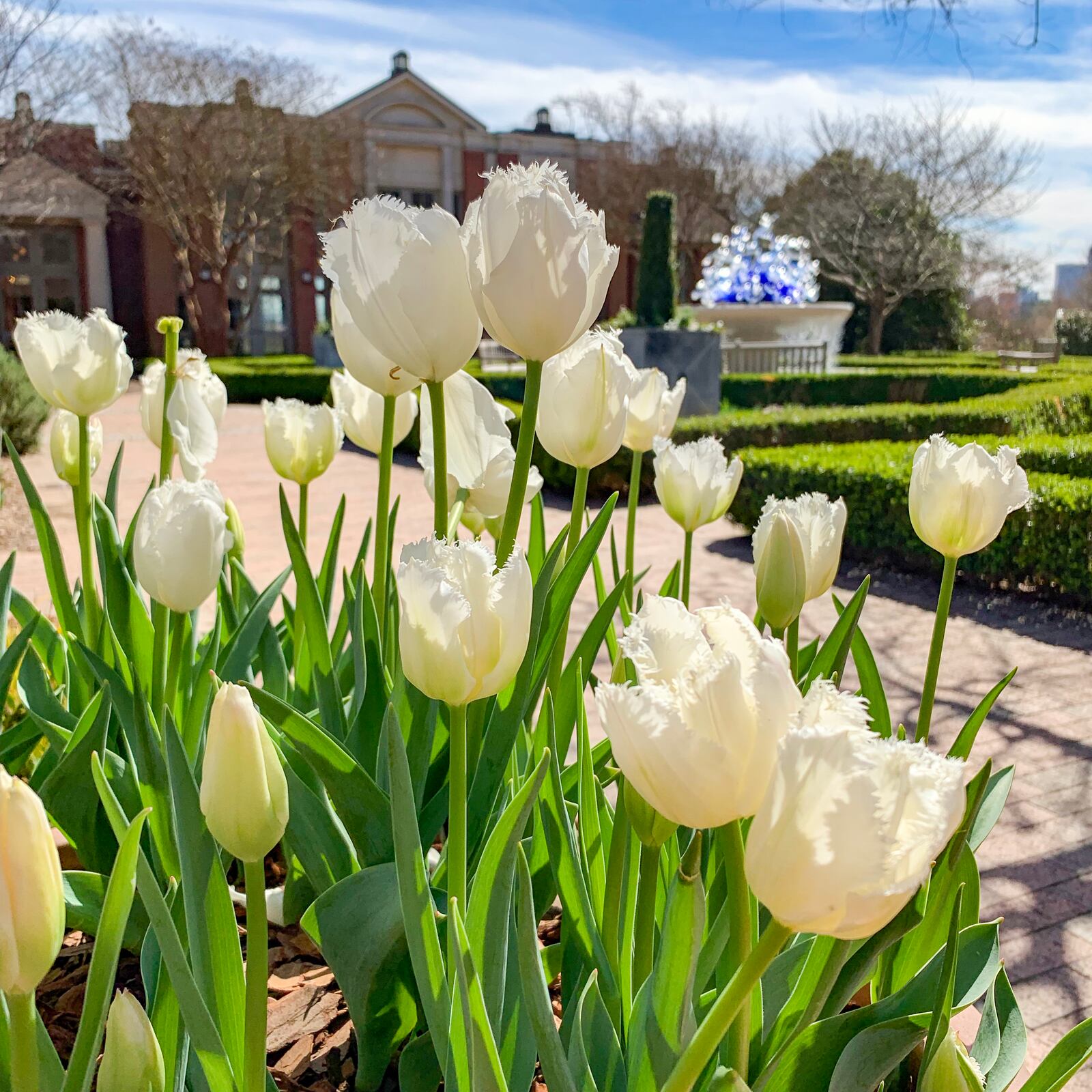 The Atlanta Botanical Garden’s Atlanta Blooms! exhibit runs from now until April 30.