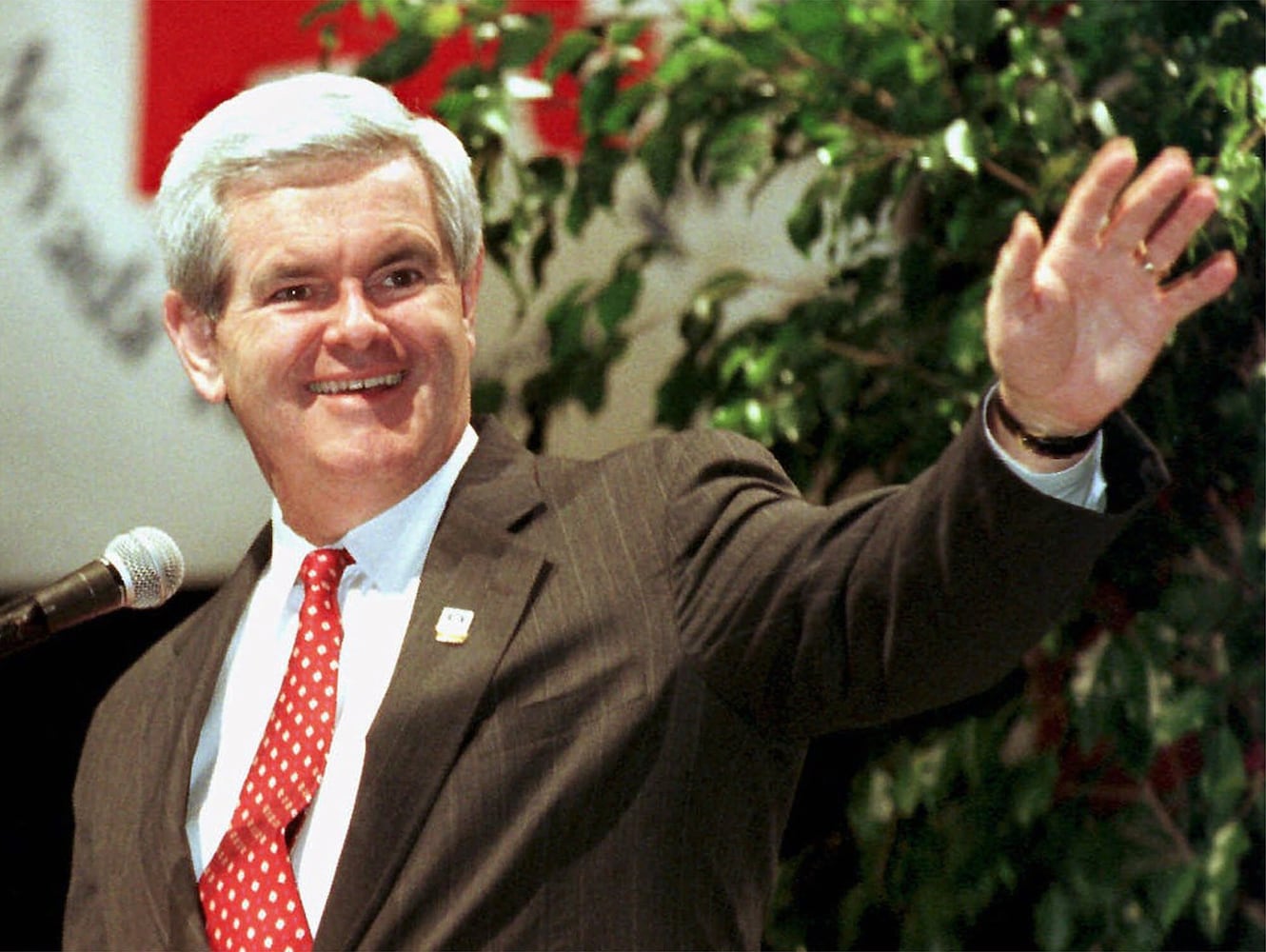 Newt Gingrich