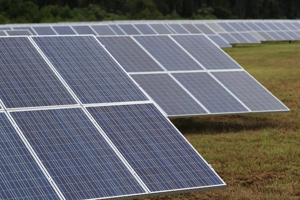 Hundreds of acres of solar farms are under construction across Georgia, as the state embraces the renewable energy revolution that promises to protect the climate. But while these efforts help reduce dependence on foreign-sourced oil and gas, create jobs and save money, they come with consequences, too. For example, solar panels keep the sun and rain from hitting the ground and growing food for the gopher tortoise, Georgia’s state reptile and a potentially endangered species. BOB ANDRES / BANDRES@AJC.COM