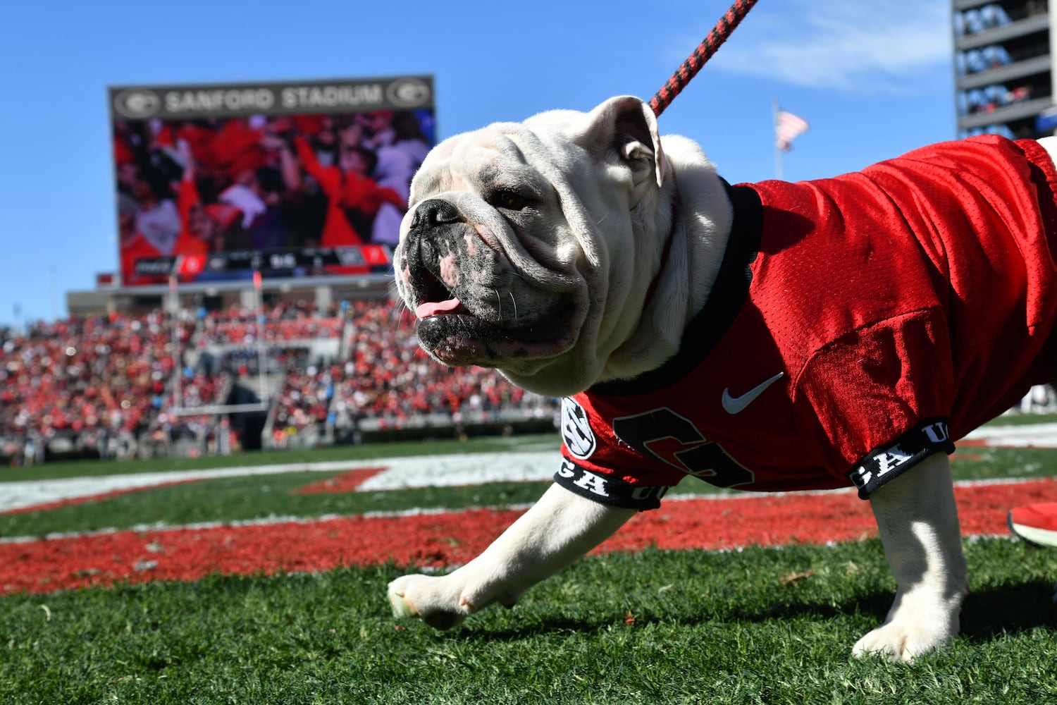 Georgia vs. UMass