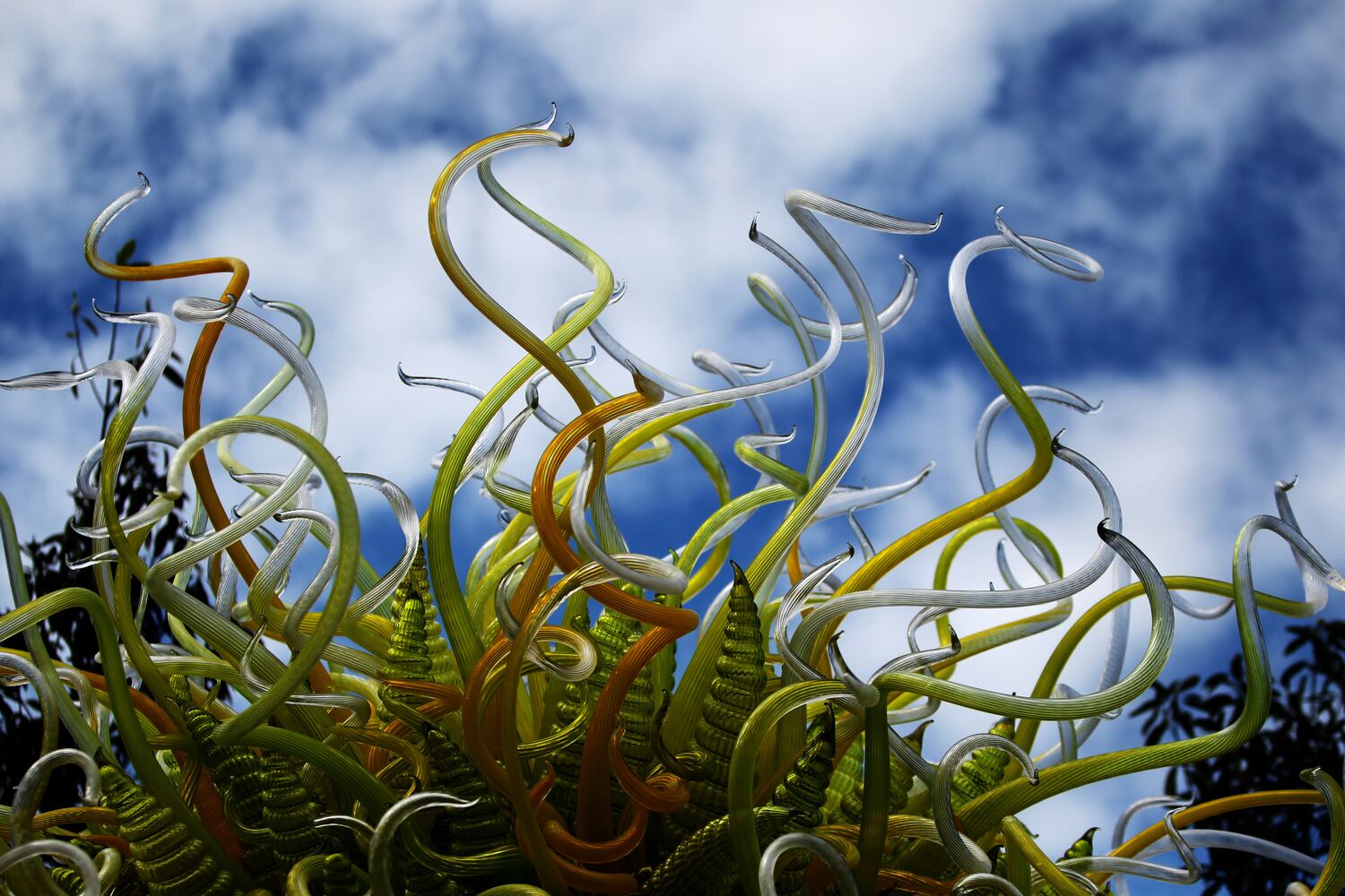 Chihuly Garden Installations | Atlanta Botanical Gardens